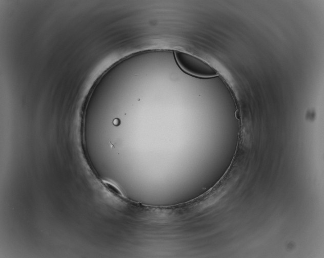 X0000101151096200807071143