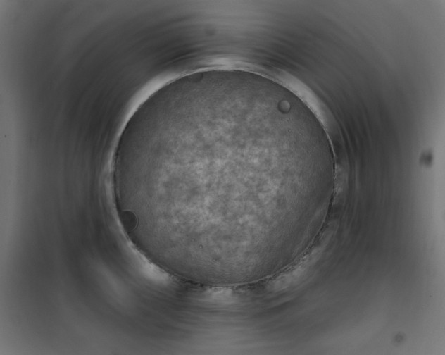 X0000101151098200807071143