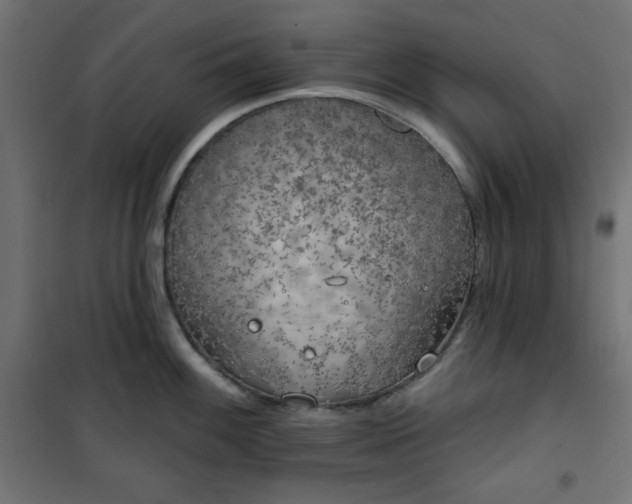 X0000101151100200807071143