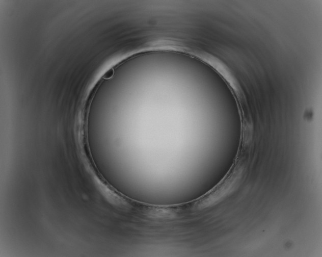 X0000101151101200807071143