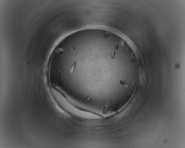 X0000101151102200807071143