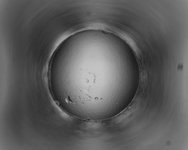 X0000101151103200807071143