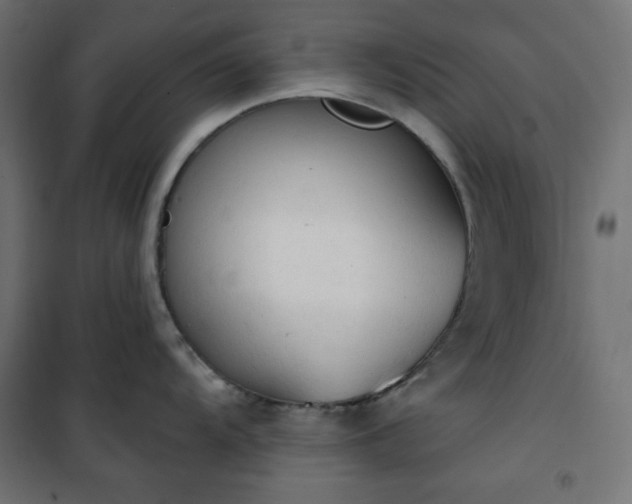 X0000101151104200807071143