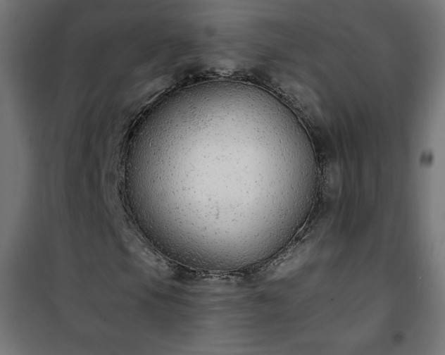 X0000101151105200807071142