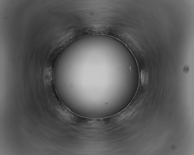 X0000101151107200807071142