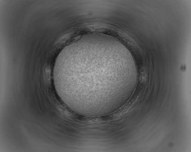 X0000101151108200807071142