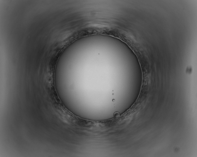 X0000101151109200807071142