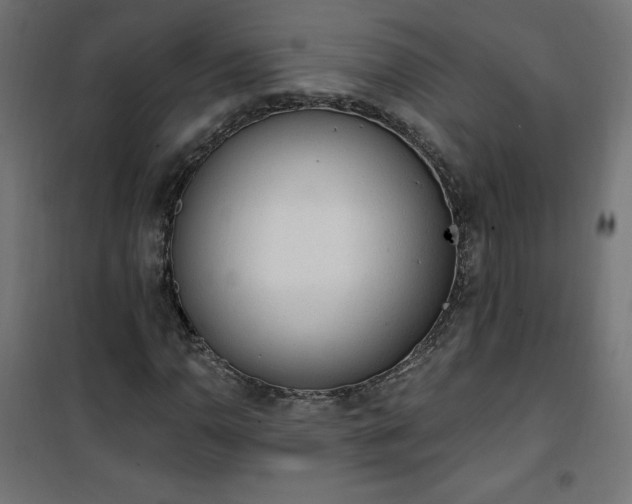 X0000101151110200807071142