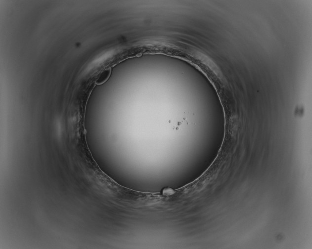 X0000101151111200807071142