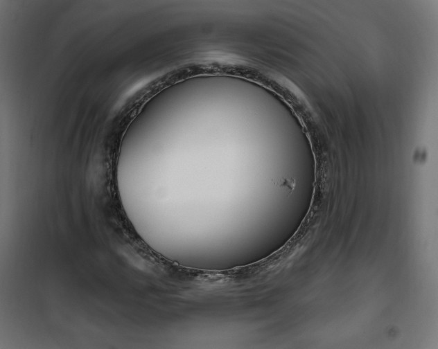 X0000101151112200807071142