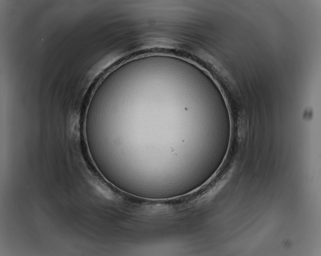 X0000101151113200807071142