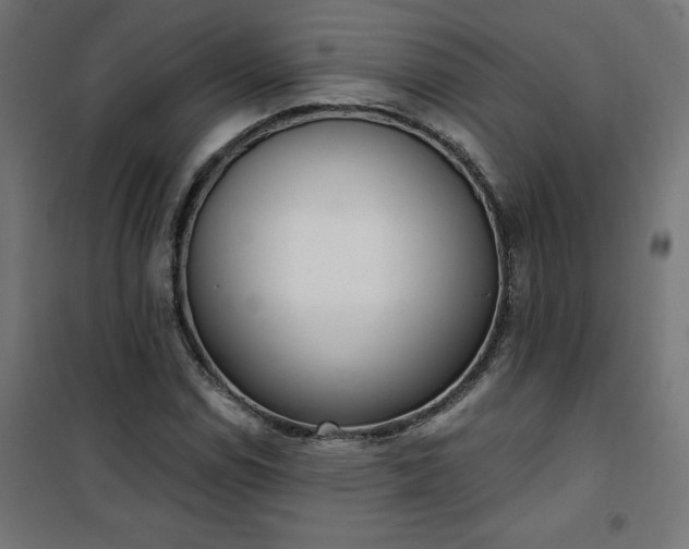 X0000101151114200807071142