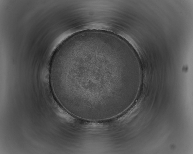 X0000101151115200807071142