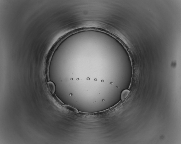 X0000101151116200807071142