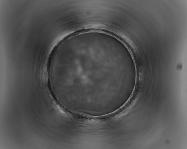 X0000101151117200807071142