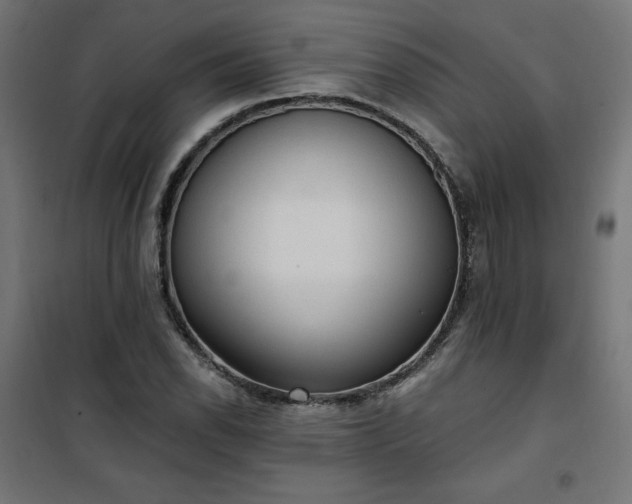 X0000101151118200807071142