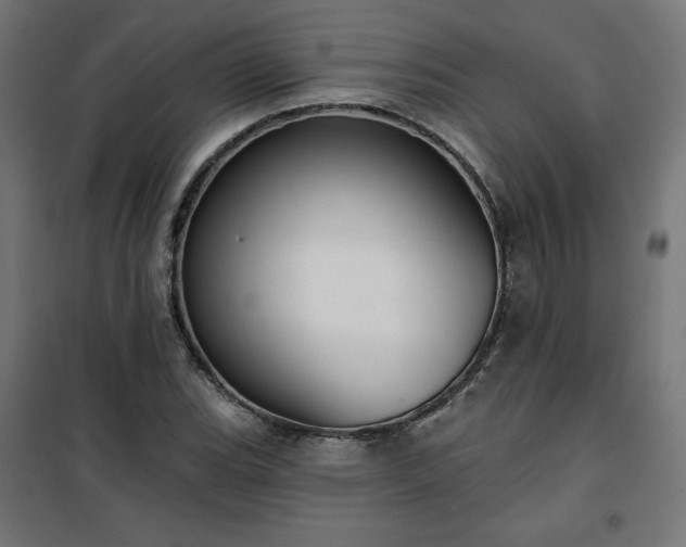 X0000101151119200807071142