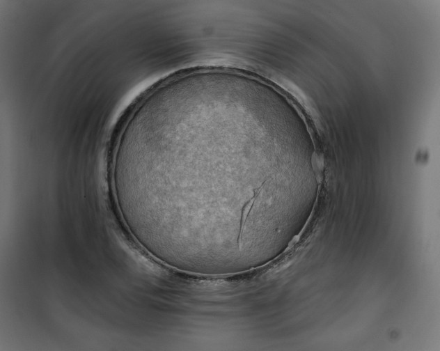 X0000101151120200807071142