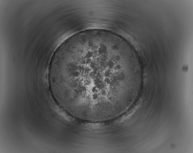 X0000101151121200807071142