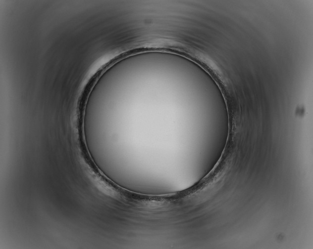 X0000101151122200807071142