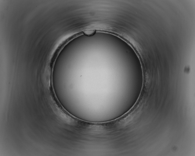 X0000101151123200807071142