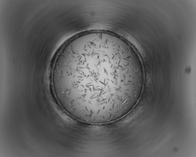 X0000101151124200807071142