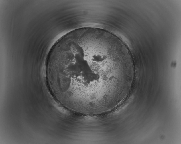 X0000101151125200807071142