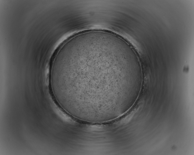 X0000101151126200807071143