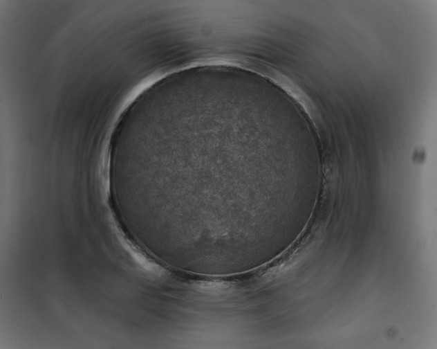 X0000101151127200807071143