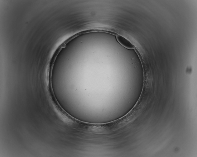 X0000101151128200807071143