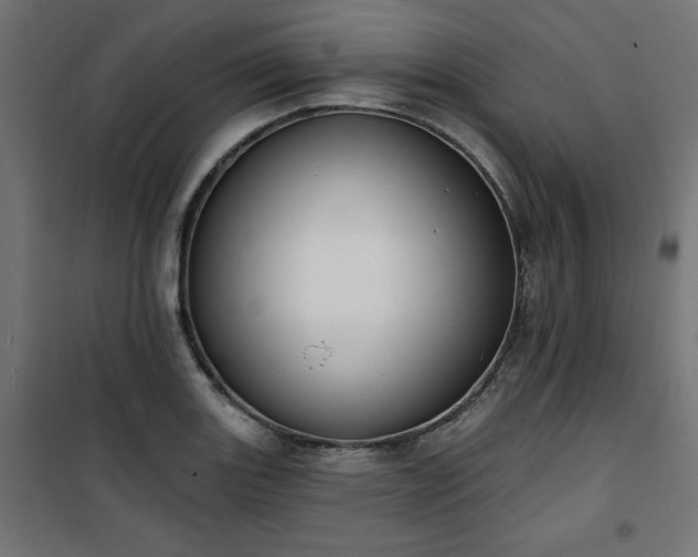 X0000101151131200807071143