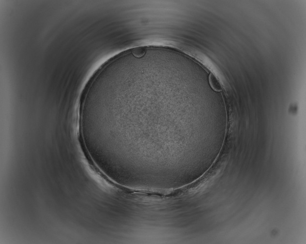 X0000101151132200807071143