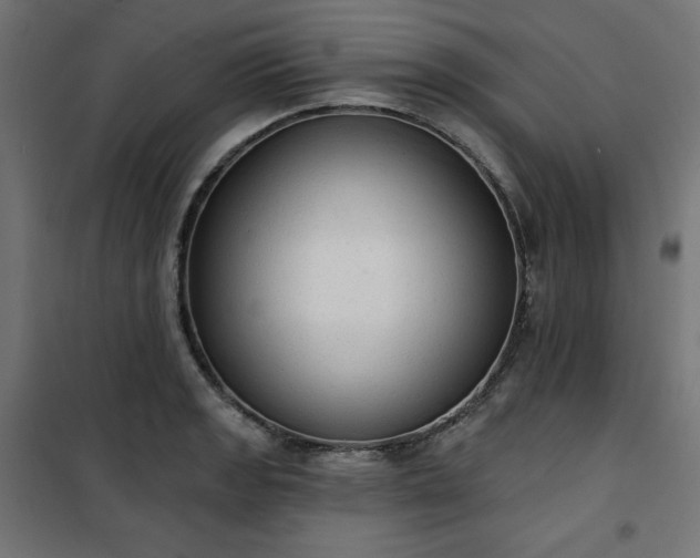 X0000101151133200807071143