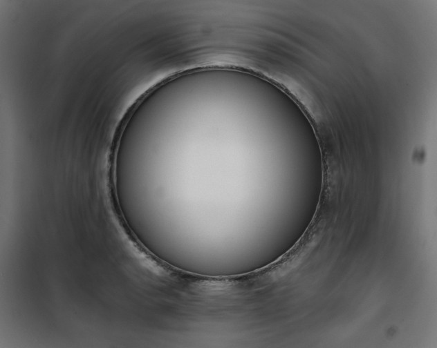 X0000101151134200807071143