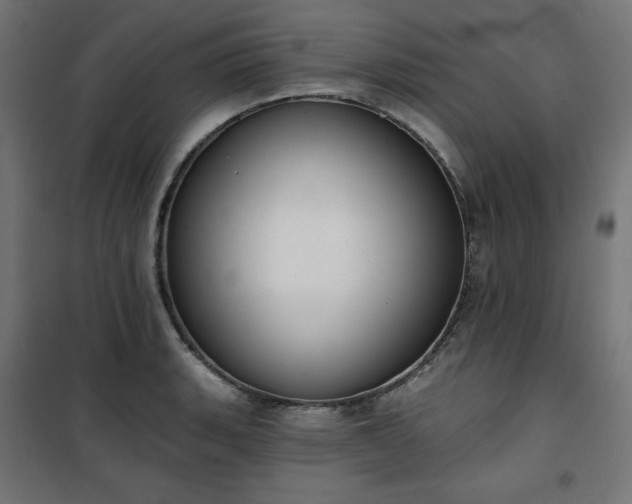 X0000101151135200807071143