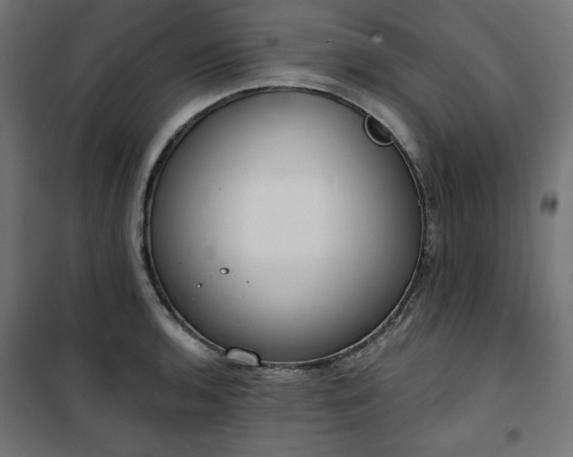 X0000101151136200807071143