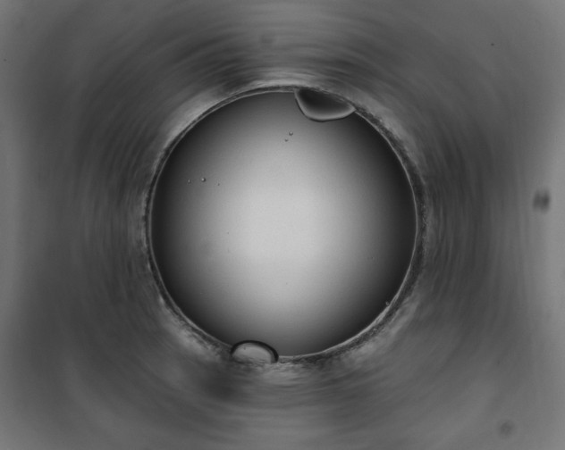 X0000101151137200807071143