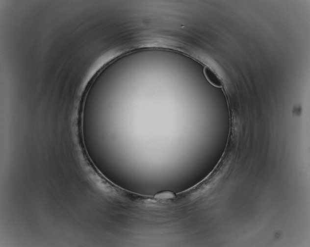 X0000101151138200807071143