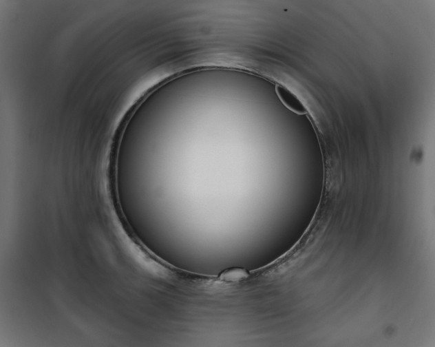 X0000101151139200807071143