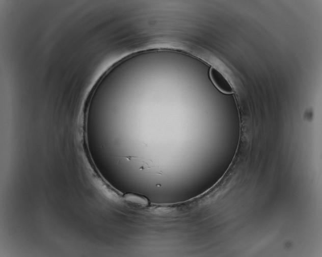 X0000101151140200807071143