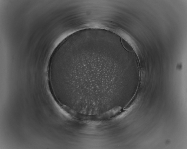 X0000101151141200807071143