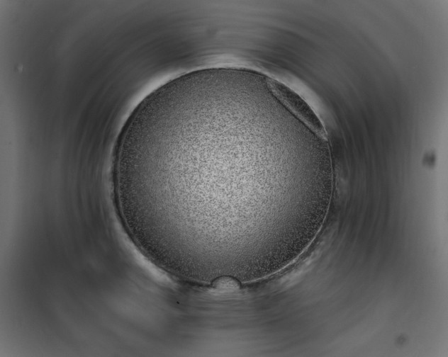 X0000101151142200807071143