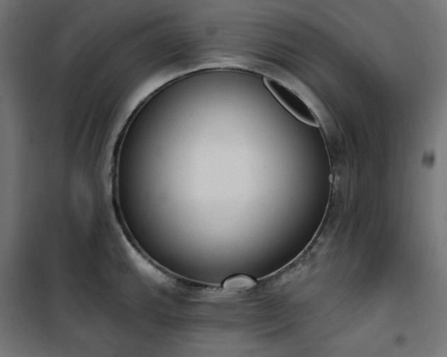 X0000101151143200807071143