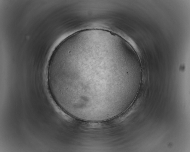 X0000101151144200807071143