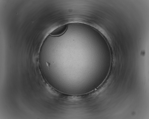 X0000101151145200807071143