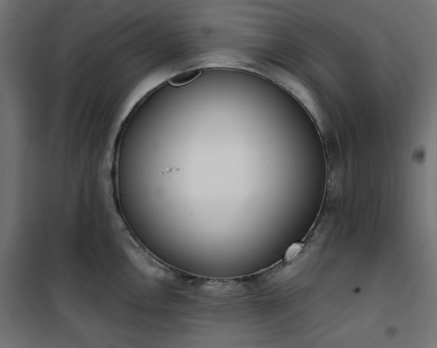 X0000101151146200807071143