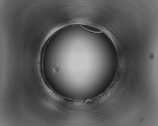 X0000101151147200807071143