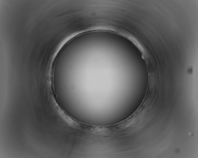 X0000101151148200807071143