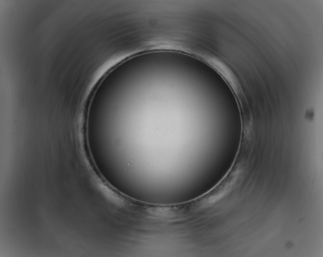 X0000101151149200807071143