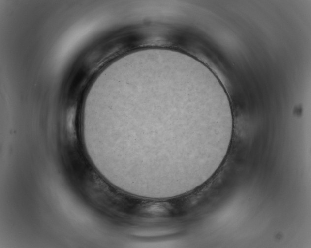 X0000101151150200807071143